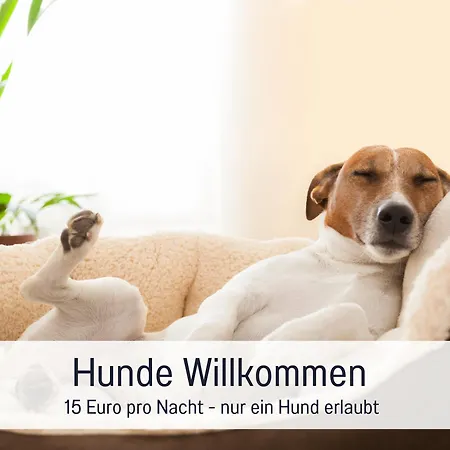 Barrierefreie Ideal Fuer Paare Diessen am Ammersee